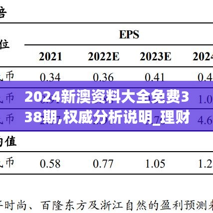 2024新澳资料大全免费338期,权威分析说明_理财版53.406-4