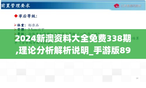2024新澳资料大全免费338期,理论分析解析说明_手游版89.817-6