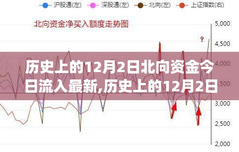 历史上的12月2日北向资金流入深度解析及今日最新动态