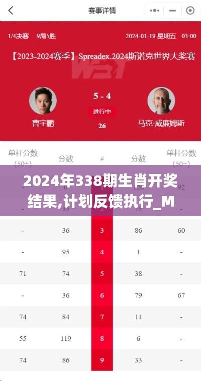 2024年338期生肖开奖结果,计划反馈执行_MT64.489-3