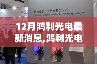 掌握鸿利光电十二月最新动态，科技前沿消息一网打尽