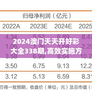 2024澳门天天开好彩大全338期,高效实施方法解析_V版62.872-2