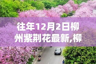 往年12月2日柳州紫荆花科技与革命的最新高科技产品介绍新篇章