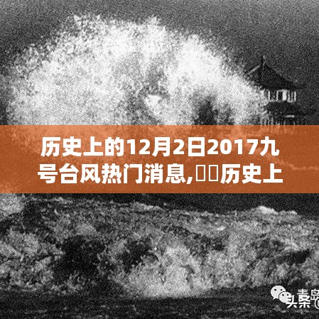 历史上的12月2日揭秘，重温2017九号台风的热门消息与风雨时刻