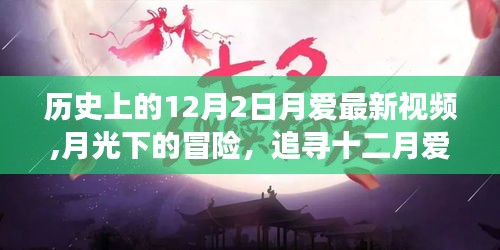 月光下的追寻，十二月爱之旅与自然美景的共舞