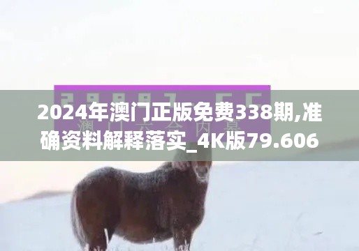 2024年澳门正版免费338期,准确资料解释落实_4K版79.606-7