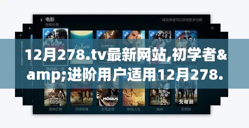 12月278.tv最新网站使用指南，从初学者到进阶用户的全面步骤解析