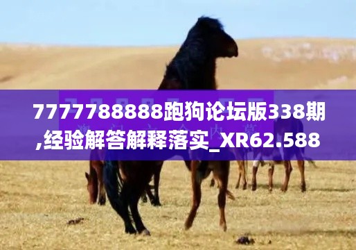 7777788888跑狗论坛版338期,经验解答解释落实_XR62.588-1