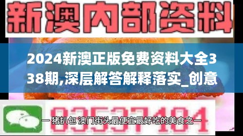 2024新澳正版免费资料大全338期,深层解答解释落实_创意版33.565-3