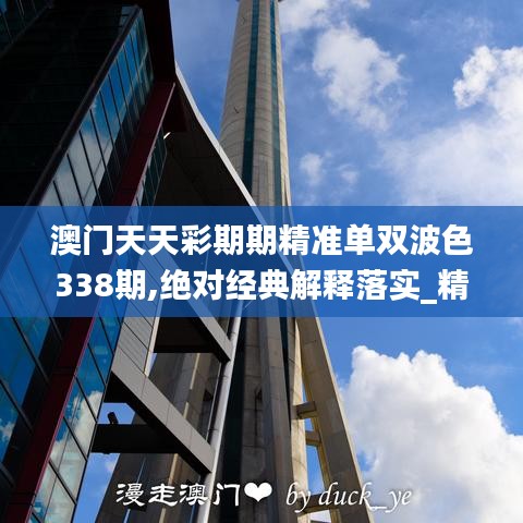 澳门天天彩期期精准单双波色338期,绝对经典解释落实_精英款86.102-5