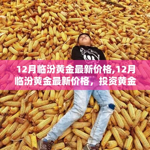 12月临汾黄金最新价格与投资热点解析