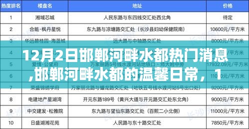 邯郸河畔水都温馨日常，奇遇与陪伴的十二月记事