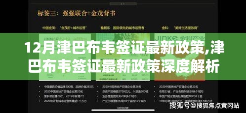 津巴布韦签证最新政策解析，特性、体验与用户群体分析，与竞品对比的深度探讨