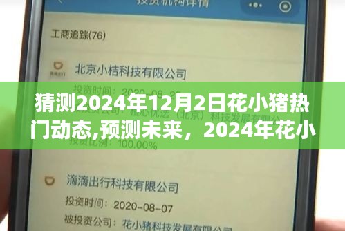 2024年花小猪热门动态展望，预测未来趋势