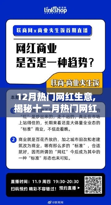 揭秘十二月热门网红生意，捕捉商机，引领潮流前沿的秘诀！