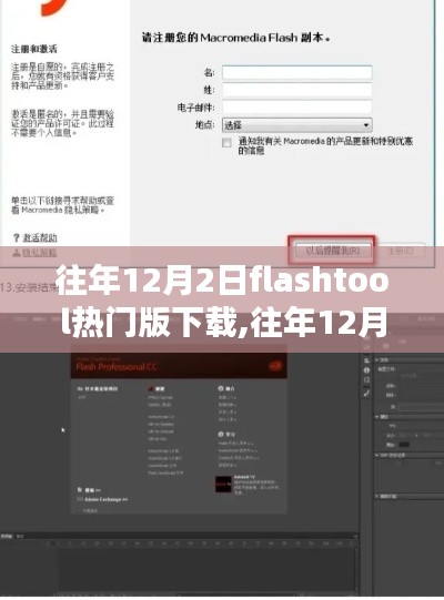 往年12月2日Flash Tool热门版下载综述，要点解析与实用指南