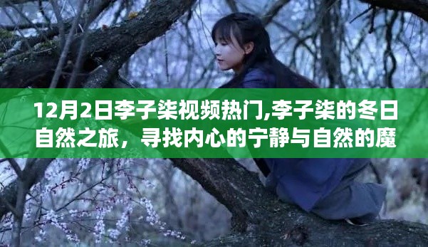 丰容盛鬋 第4页