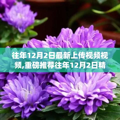 往年12月2日精选视频大放送，视觉盛宴，不容错过