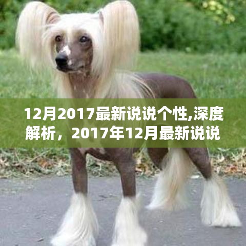 深度解析2017年12月最新说说个性，特性、体验与目标用户群体全方位评测