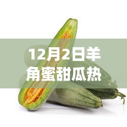 12月2日羊角蜜甜瓜，友情、家庭的甜蜜约定与热门价格