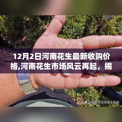 贵戚之卿 第4页