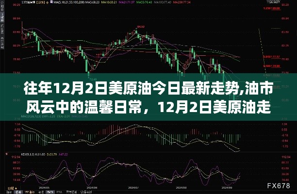 温馨日常与家的故事，揭秘油市风云背后的美原油走势，今日最新动态聚焦12月2日