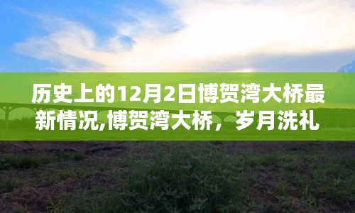 博贺湾大桥最新动态，岁月洗礼下的壮丽史诗，12月2日历史回眸