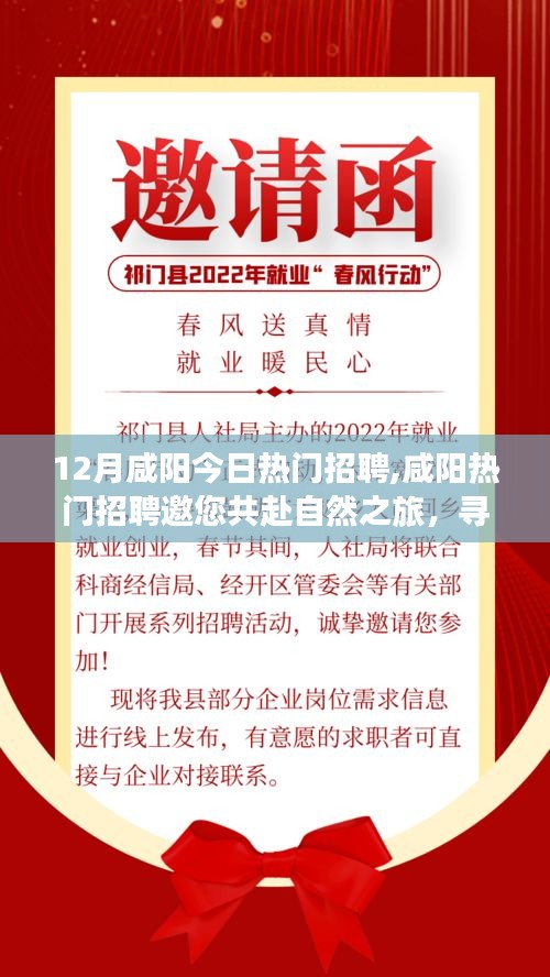 咸阳热门招聘，探索自然之旅，寻找内心的宁静与自我发现