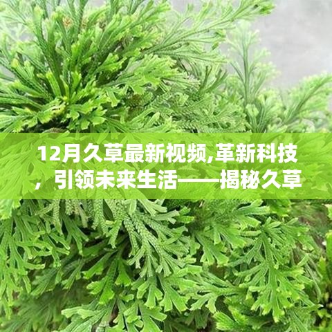 都中纸贵 第4页