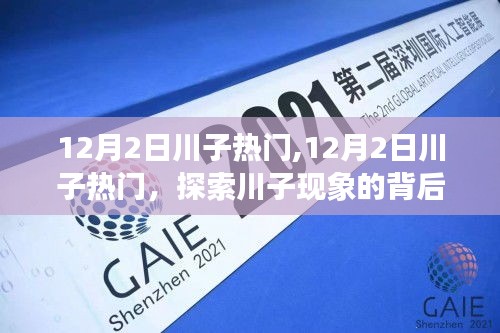 揭秘川子现象背后的秘密与影响力，热门背后的故事解析