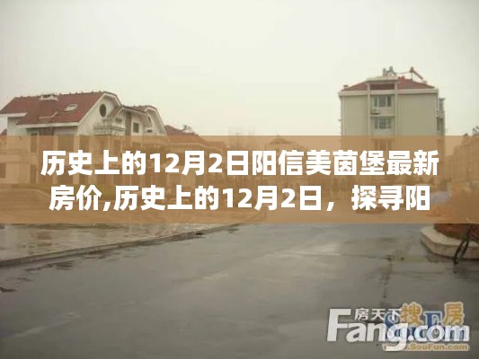 探寻阳信美茵堡房价变迁之旅，历史上的12月2日最新房价揭晓
