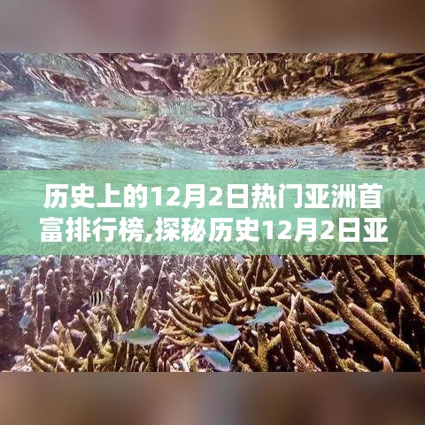 揭秘历史12月2日亚洲首富排行榜与巷弄深处的特色小店故事