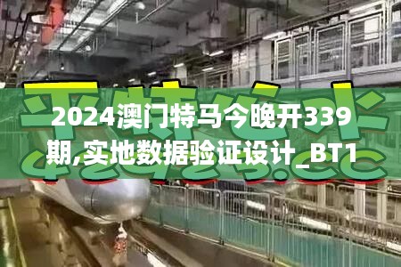 2024澳门特马今晚开339期,实地数据验证设计_BT135.587-8