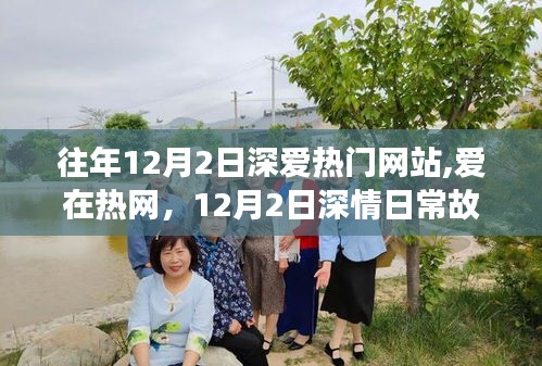 12月2日，热门网站上的深情日常故事与爱在热网
