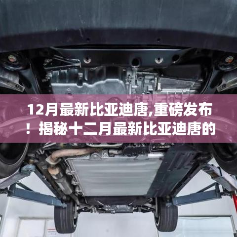 揭秘十二月最新比亚迪唐三大看点，重磅发布！