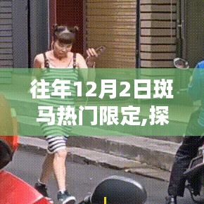 探秘往年12月2日斑马热门限定，小巷深处的独特风味揭秘