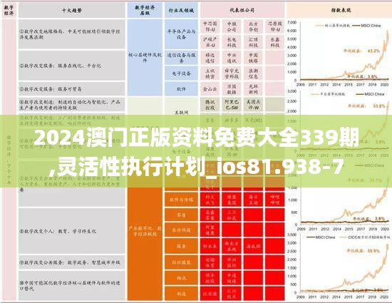 2024澳门正版资料免费大全339期,灵活性执行计划_ios81.938-7