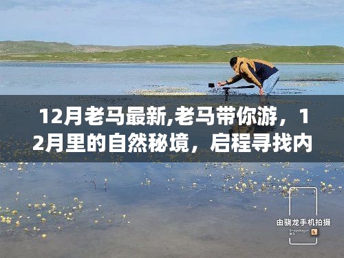 12月老马带你探寻自然秘境，启程寻找内心的宁静与平和