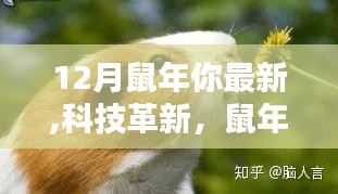 鼠年科技革新巨献，探索最新高科技产品，领略未来生活魅力