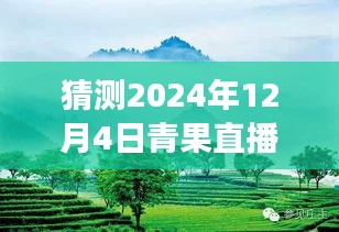 探秘自然美景，青果直播盛宴，预测2024年12月4日直播新篇章