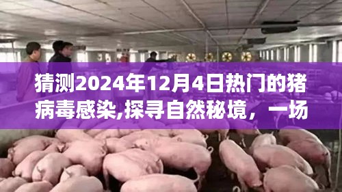 探寻自然秘境，猪病毒感染之旅的心灵启程，预测热门事件2024年12月4日
