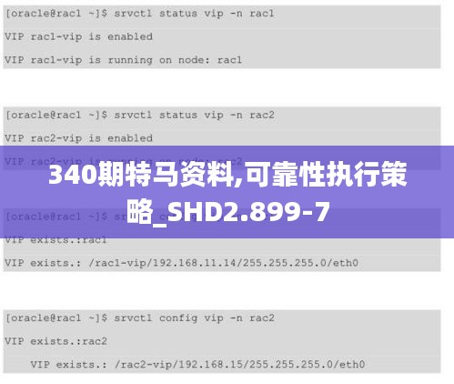 340期特马资料,可靠性执行策略_SHD2.899-7