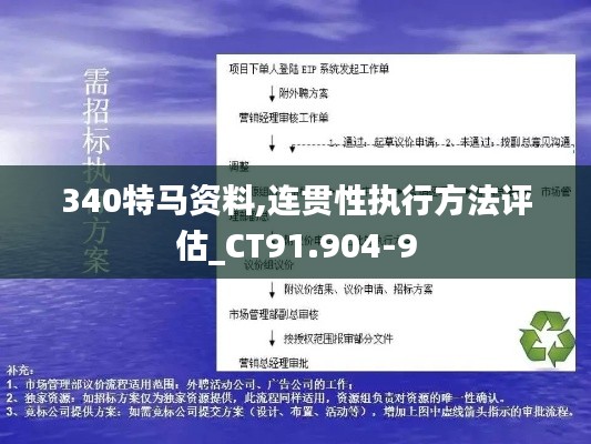 340特马资料,连贯性执行方法评估_CT91.904-9