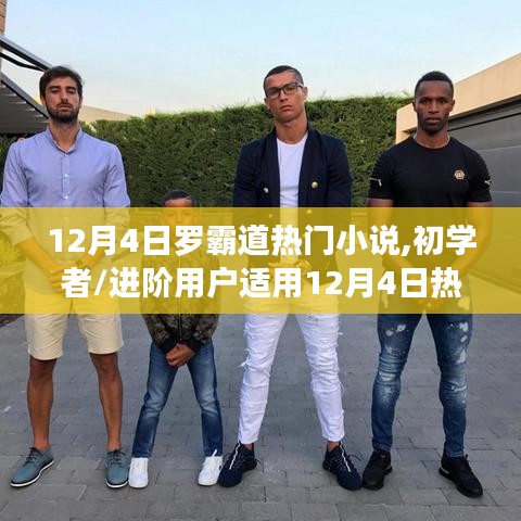 12月4日热门罗霸道小说攻略，初学者到进阶用户的阅读指南