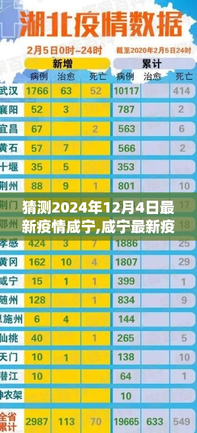 2024年12月4日咸宁疫情预测，未来景象展望