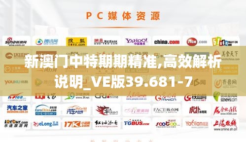 新澳门中特期期精准,高效解析说明_VE版39.681-7