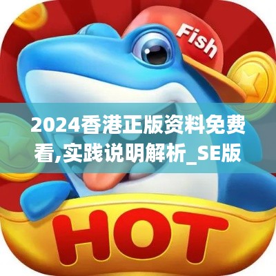 2024香港正版资料免费看,实践说明解析_SE版78.299-8