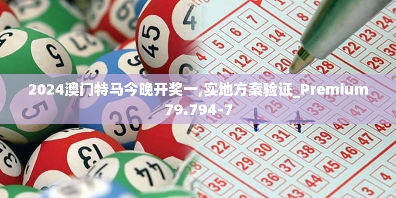 2024澳门特马今晚开奖一,实地方案验证_Premium79.794-7