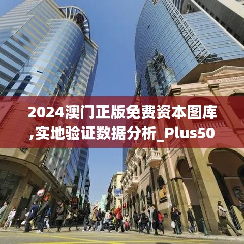 2024澳门正版免费资本图库,实地验证数据分析_Plus50.181-2