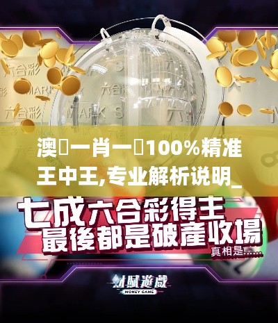 澳門一肖一碼100%精准王中王,专业解析说明_The13.225-8